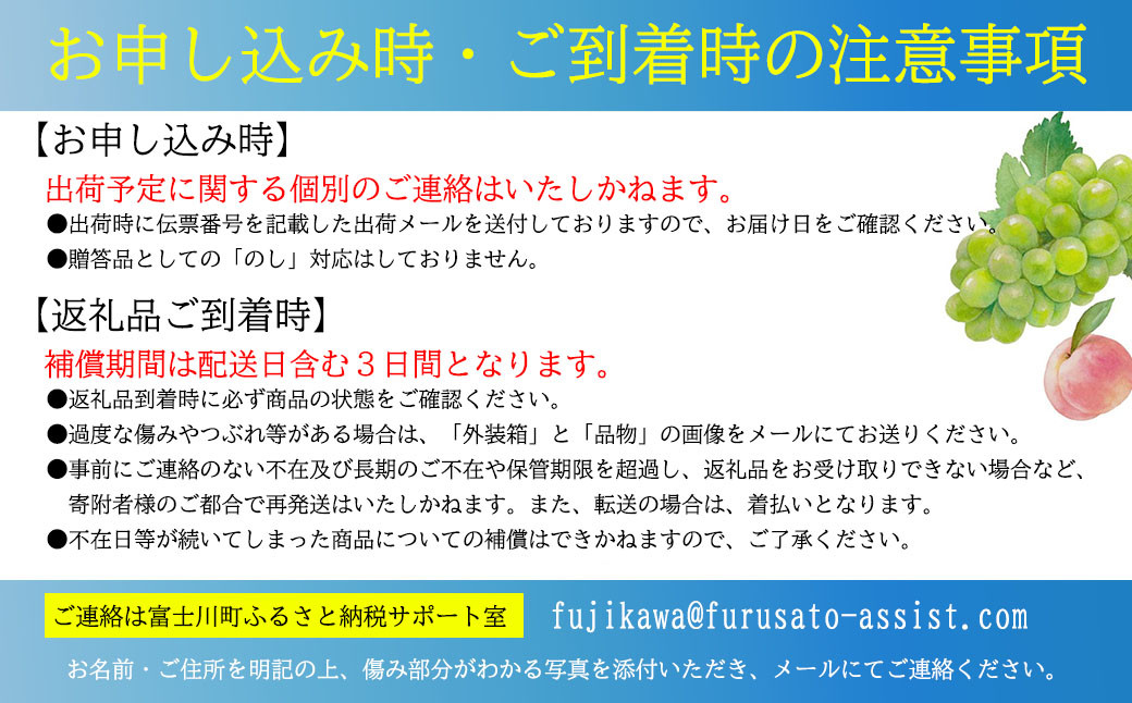 【令和８年度先行予約】贈答用！希少価値の高い高級シャインマスカット（１房 ６００ｇ以上）　シャイン シャインマスカット マスカット 葡萄 ぶどう ブドウ 果物 くだもの フルーツ 山梨 やまなし 富士川町 ギフト プレゼント 贈り物