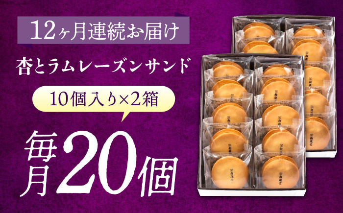 【全12回定期便】 お菓子 杏とラムレーズンサンド 10個入り×2 あんず 杏子 おやつ 菓子 お茶 レーズン ぶどう 葡萄 レーズンサンド アフタヌーンティー 紅茶 ティータイム お菓子 甘味 スイーツ 人気 おすすめ 美味しい グルメ お取り寄せ ギフト 贈り物 プレゼント セット 詰め合わせ 洋菓子 焼き菓子 広島 定期便 全3回 広島県福山市/有限会社勉強堂 [BAFL021]