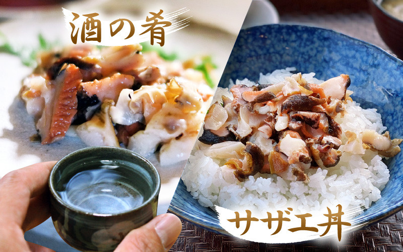 若狭湾の素潜り 天然 活サザエ 2kg(説明書付き)【サザエ さざえ 貝 天然 海産物 刺身 お造り 海の幸 BBQ つぼ焼き 壺焼き 佃煮】[m17-a048]