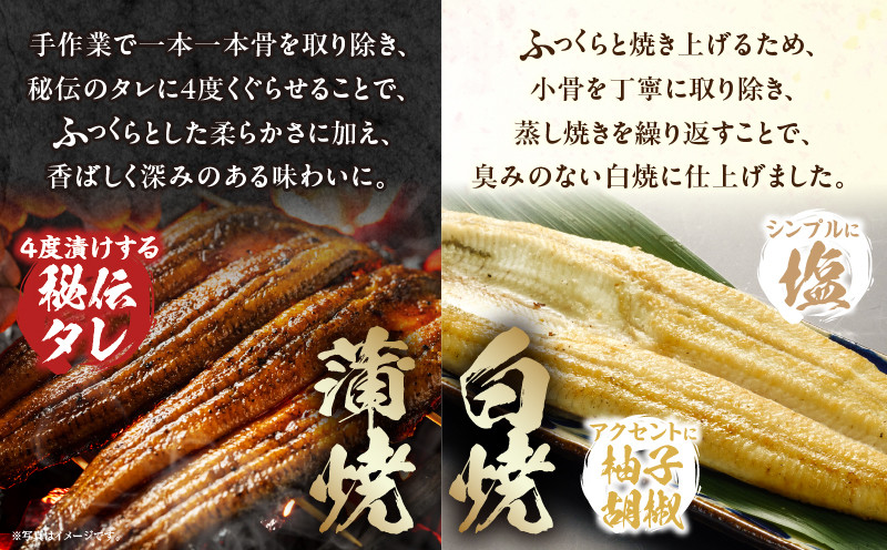 《2025年12月発送予定》国産うなぎ蒲焼・白焼セット 肝焼き付_M069-011_03-dec