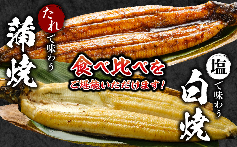 《2025年12月発送予定》国産うなぎ蒲焼・白焼セット 肝焼き付_M069-011_03-dec