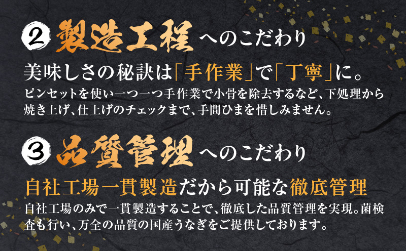 《2025年12月発送予定》国産うなぎ蒲焼・白焼セット 肝焼き付_M069-011_03-dec