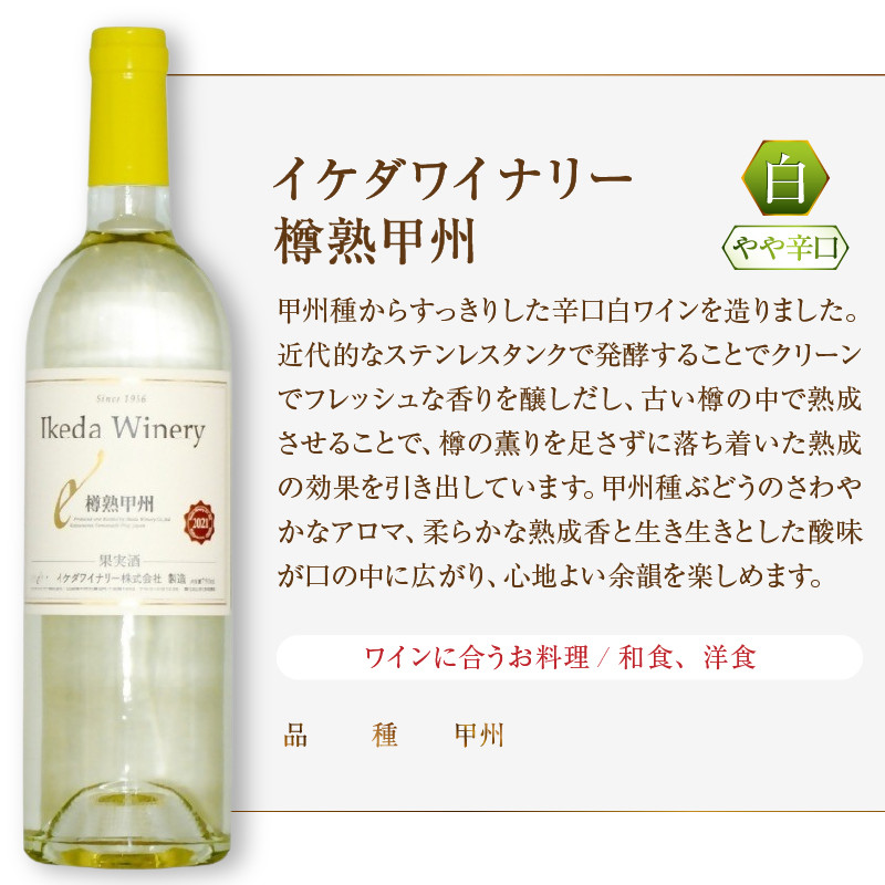 イケダワイナリー 2本セット【樽熟甲州 / 甲州エクセレント】（MG）B12-667 【ワイン 白ワイン やや辛口 やや甘口 甲州市 山梨県】