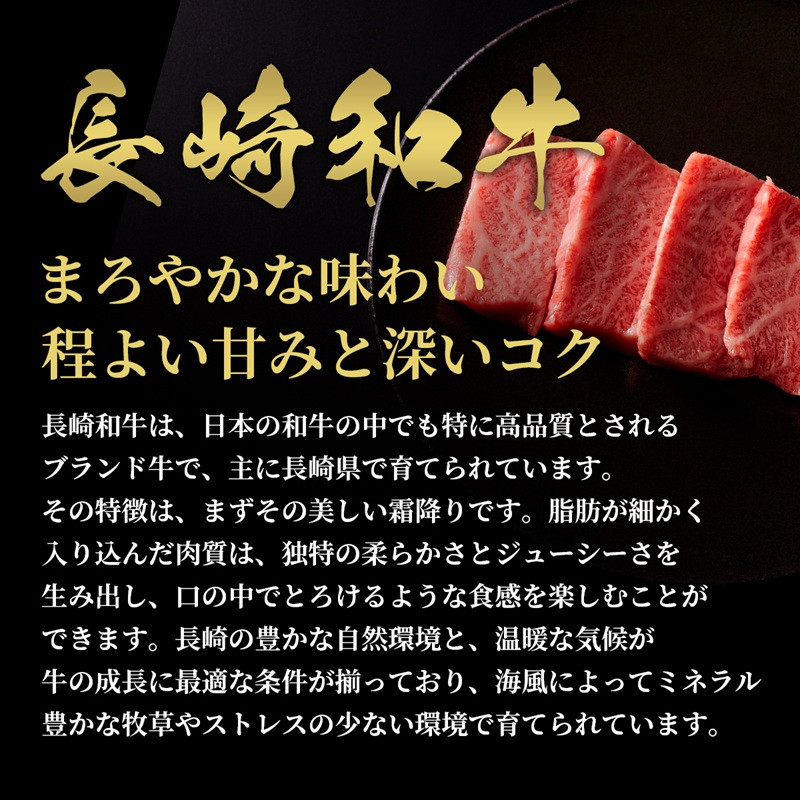 【和牛セレブ】長崎和牛焼肉ロース 250g ( 長崎和牛 和牛 焼肉 ロース )【B8-028】