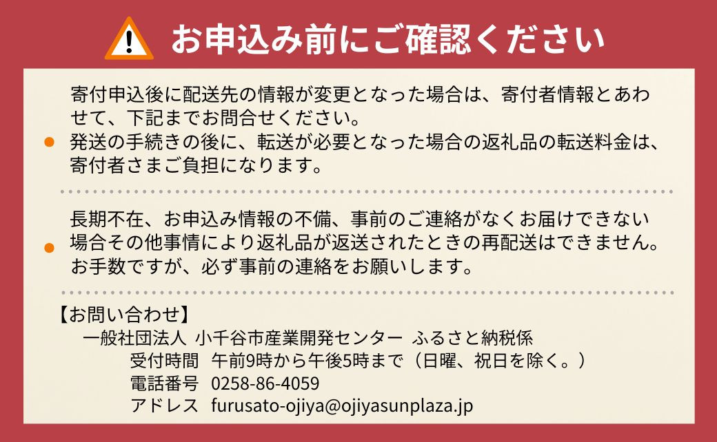 【柿の種】 大粒 極上 柿の種 ピーナッツ入り 10袋セット (1袋110g) 竹内製菓 | 新潟産 柿ピー 餅米使用 おつまみ 徳用 【0002-0147-01】