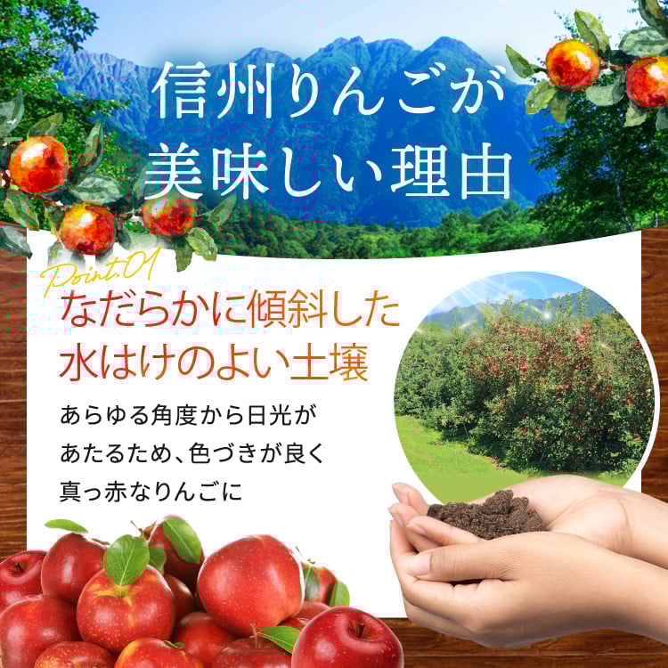 【2025年先行予約】家庭用 サンふじ 食べきりSサイズ 40個入り 10kg| 北條農園 リンゴ りんご 林檎 果物 フルーツ 果実 果汁 サンふじ さんふじ Sサイズ 食べきりサイズ 家庭用 長野県 松川村 信州