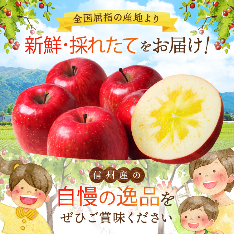 【2025年先行予約】家庭用 サンふじ 食べきりSサイズ 40個入り 10kg| 北條農園 リンゴ りんご 林檎 果物 フルーツ 果実 果汁 サンふじ さんふじ Sサイズ 食べきりサイズ 家庭用 長野県 松川村 信州