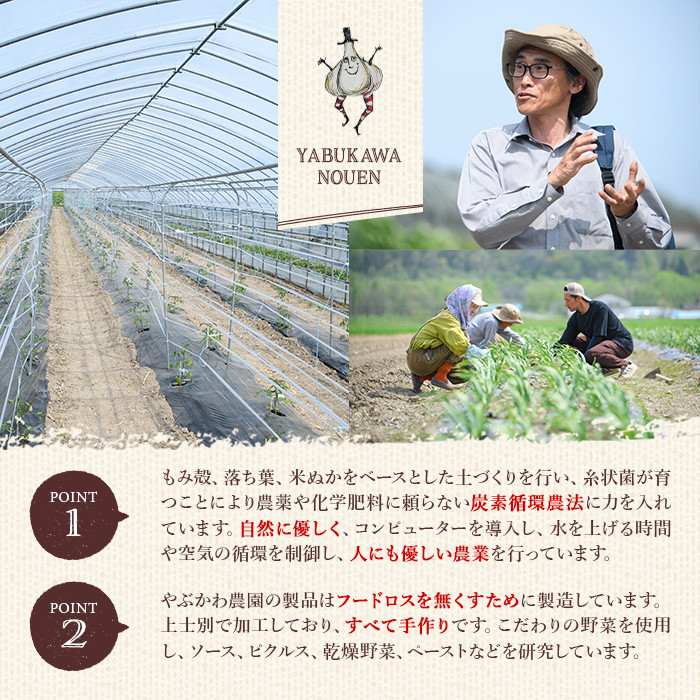 【B7086】やさいサーカス4種セット(トマトソース、油淋鶏ソース:120g・にんにくの芽ピクルス:60g・サラダピクルス:90g) トマト トマトソース ソース ニンニク にんにく ニンニクの芽 調味料 料理 パスタ ピザ チキンソース ピクルス おつまみ おかず 【やぶかわ農園】