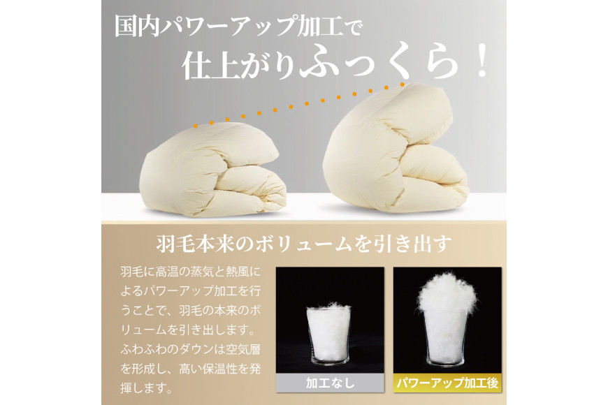 【冬用】洗える 羽毛布団 ダブル 本掛け 冬 掛け布団 ブルガリア産 ホワイトダックダウン93％ 1.7kg 400dp ブラウン 無地 羽毛 布団 羽毛ふとん 本掛け布団 5つ星 ロイヤルゴールドラベル ダウンケット フトン 寝具 掛布団 羽毛掛け布団コインランドリー 防汚加工 柔軟加工 防ダニ [川村羽毛 山梨県 韮崎市 20742896]
