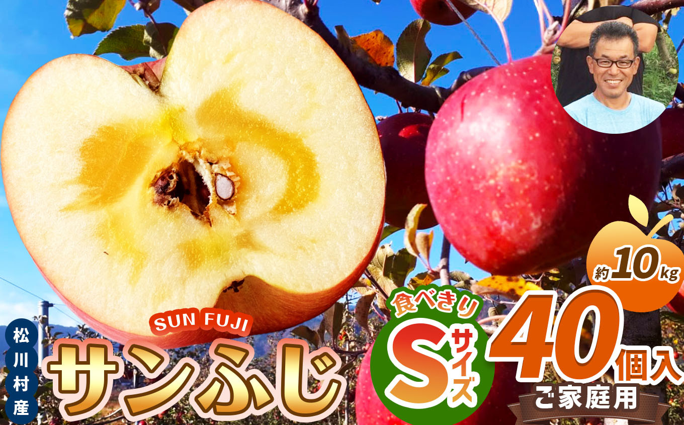【2025年先行予約】家庭用 サンふじ 食べきりSサイズ 40個入り 10kg| 北條農園 リンゴ りんご 林檎 果物 フルーツ 果実 果汁 サンふじ さんふじ Sサイズ 食べきりサイズ 家庭用 長野県 松川村 信州