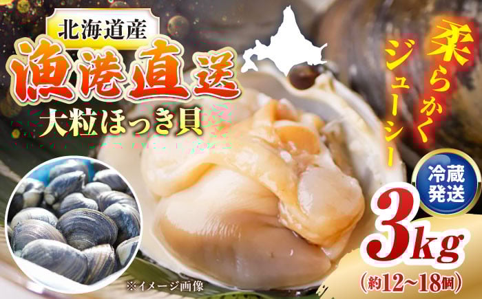 厚真町近海で獲れた 活ほっき貝 3kg（約12〜18個）《厚真町》【鵡川漁業協同組合】 ほっき ほっき貝 ホッキ ホッキ貝 北寄貝 海鮮 冷蔵配送 北海道 [AXAL003]