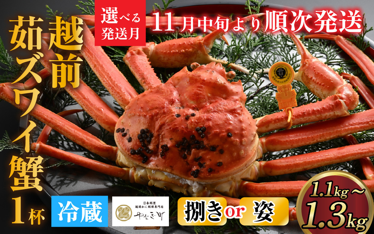 【先行予約】[捌き済選択可][到着日指定可]蟹好きにおすすめ！老舗カニ専門店の「越前ずわいがに」特大(1.1kg～1.3Kg)【11月中旬より順次発送】 [O-085019]