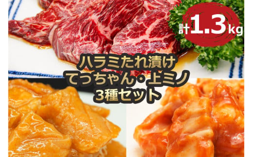 ハラミ たれ漬け てっちゃん 上ミノ 3種セット 1.3kg [2175]
