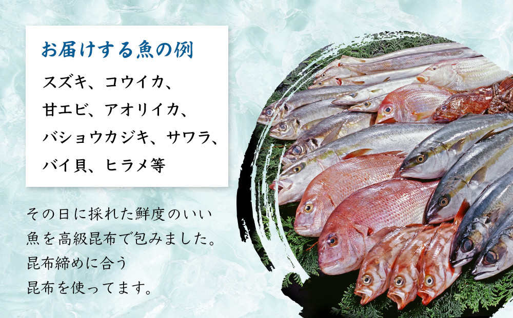 氷見産昆布締め 6種詰め合わせ | 釣屋魚問屋直営 ひみ岸壁市場