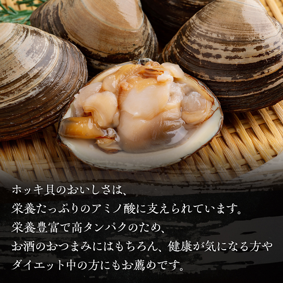 鵡川漁協発!特選ホッキ貝(2.5kg)  【 ふるさと納税 人気 おすすめ ランキング 天然 特選 ほっき ホッキ ほっき貝 北寄 北寄貝 魚介 海鮮 新鮮 北海道 むかわ町 送料無料 】 MKWV001
