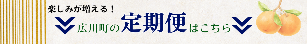 和歌山県の有田みかん 5kg / 温州みかん 有田みかん 甘い 柑橘 和歌山 ※2026年11月中旬~翌年1月上旬頃に順次発送予定 【aii004-r-5A】