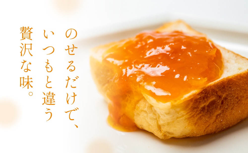 【お歳暮ギフト】完熟きんかん「黄金丸」マーマレード 4本セット 金柑 ジャム 柑橘 果物 パンやヨーグルトに フルーツ 朝食 清木場果樹園 瓶入り プレゼント ギフト 贈答用 贈り物 手土産 南さつま市 お歳暮 のし対応 熨斗