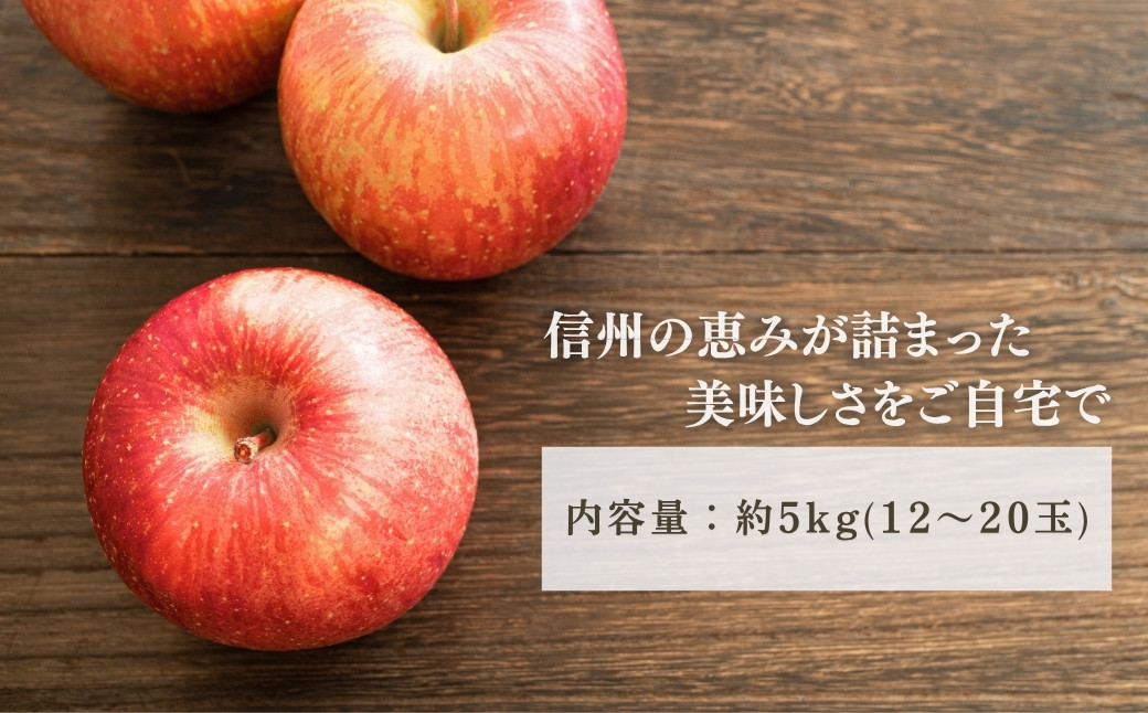 りんご サンふじ 約5kg 中島農園 | 林檎 リンゴ アップル 果物 くだもの フルーツ ふじ フジ さんふじ 富士 5キロ 人気 おすすめ お取り寄せ 産地直送 長野県産 信州林檎 信州りんご 信州 長野 千曲市