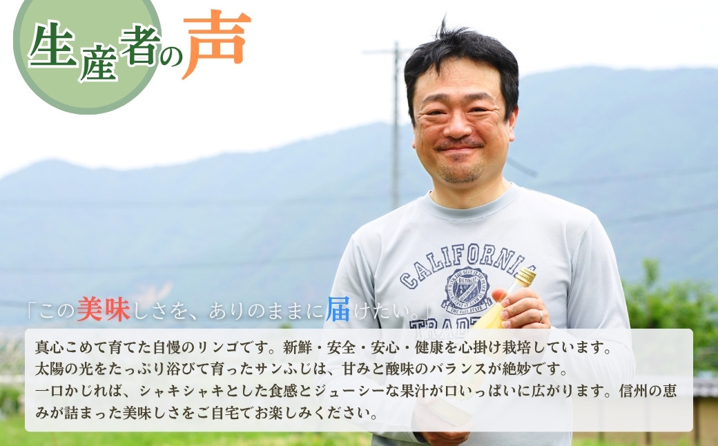【2026年先行予約】りんご サンふじ 家庭用 訳あり 約10kg <中島農園>｜ さんふじ フルーツ 果物 信州りんご 産地直送 千曲市 長野県産 信州