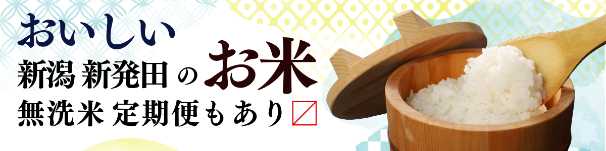 鶏ハンバーグ 5個 90g デミグラス ハンバーグ 国産 鶏肉 肉 冷凍 冷凍食品 簡単調理 手軽 おつまみ おかず 弁当 惣菜 小分け 湯煎 鳥はし 新潟県 新発田市 torihashi002