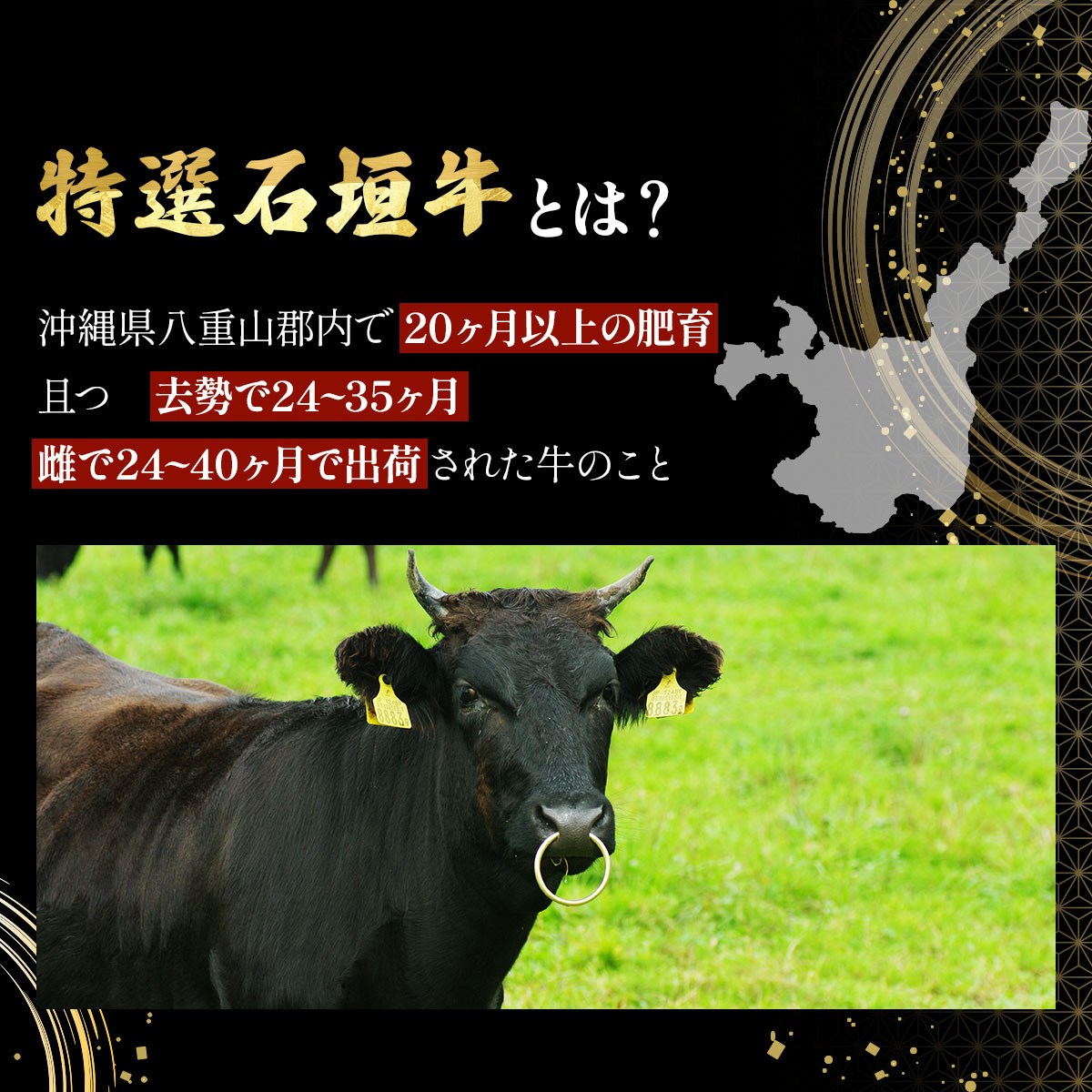 【2025年11月以降順次発送】特選石垣牛の牛スジとマルチョウをご家庭で!!牛スジ500gマルチョウ300gのセット | 沖縄 石垣 牛スジ マルチョウ ホルモン 牛 肉 特選 黒毛 和牛 贅沢 | IM-23