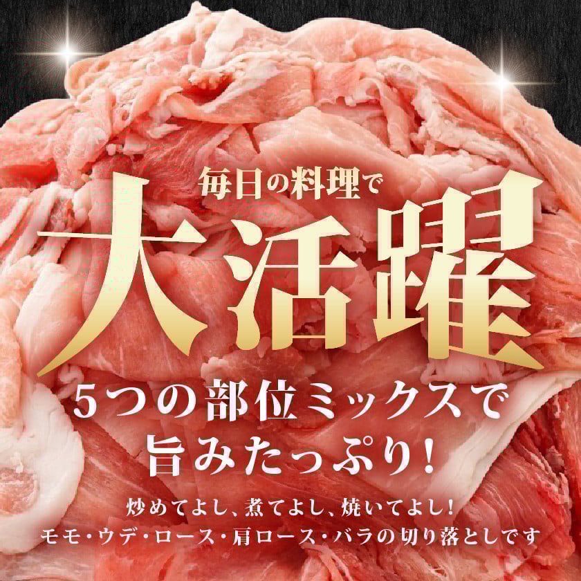 国産豚肉切り落とし4kgセット_MJ-3650_(都城市) 豚 国産 切り落とし ウデ モモ 250g 16パック 小分け カレー 肉じゃが 豚丼 肉炒め  便利 大容量