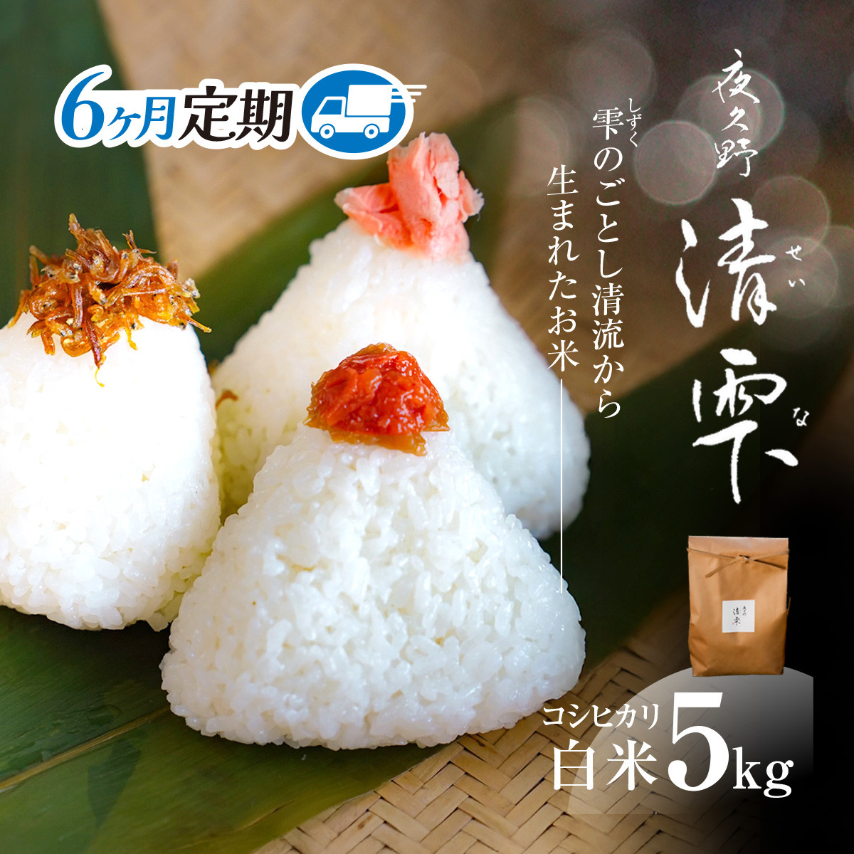 <令和7年9月末より発送予定!>【6ヶ月定期便】京都夜久野産 清雫(せいな) コシヒカリ<白米5kg×6回>/  令和7年度産 先行 定期 5kg 収穫 6回 白米 夜久野 京都 京都府 福知山 FCDB031