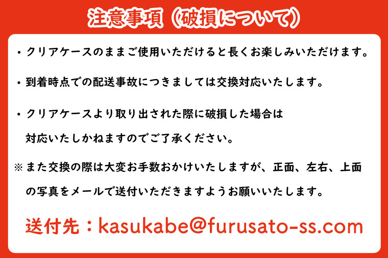 プリザーブドフラワー　藍（らん）　春日部市　シュガーパイン（AJ240）