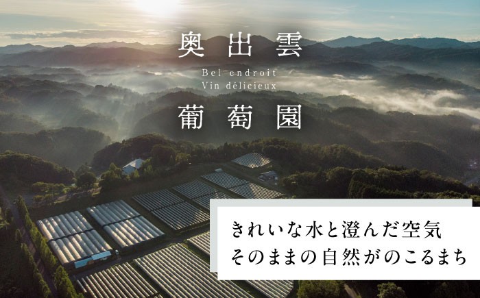 【2025年新作】サンテローズ（カベルネソーヴィニヨンロゼ・スパークリング）750ml×1本 ワイン お酒 ぶどう 島根県雲南市/有限会社奥出雲葡萄園 [AICS090]