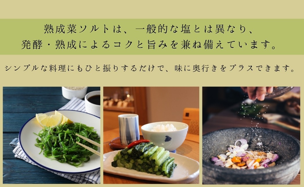 熟成菜ソルト3種セット <漬物屋が作る新しい調味料>| 塩 千曲市 長野県産 信州