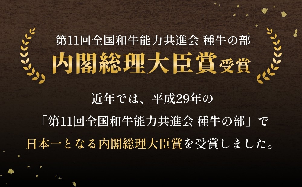 「百年の恵み おおいた和牛 」すき焼き用  800g × 3ヶ月 定期便 おおいた和牛 黒毛和牛 A5 等級 すき焼き用 牛肉 ロース 肩ロース もも 肩 部位 霜降り 血統 風味 脂肪 産地 九州 大分 肉 食材 グルメ 豊後牛