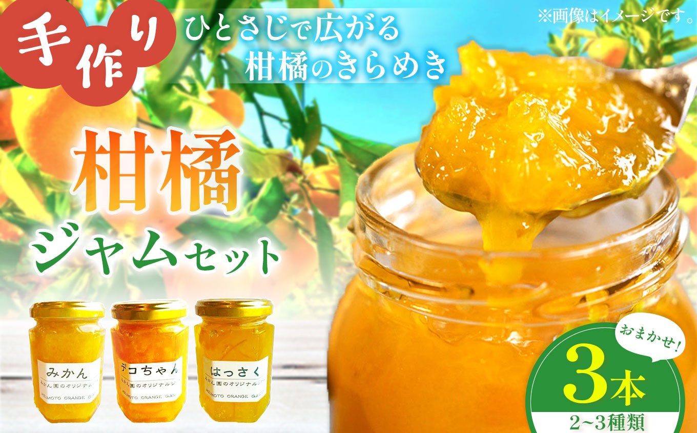 柑橘 ジャム おまかせ 3本 セット 水本オレンジガーデン | ジャム 果物 くだもの フルーツ 柑橘 かんきつ デコポン でこぽん ミカン みかん はっさく 八朔 甘夏 詰め合わせ パン 朝食 果肉 加工食品 熊本県 玉名市
