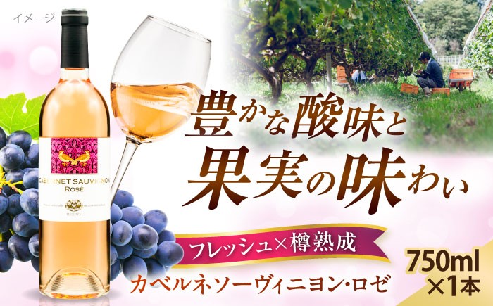 奥出雲葡萄園 カベルネソーヴィニヨン・ロゼ お酒 国産 ロゼ ロゼワイン 熟成ワイン 熟成 酒 ギフト 果実酒 お祝 贈答用 アルコール パーティー フルボトル 島根県雲南市/有限会社奥出雲葡萄園 [AICS024]