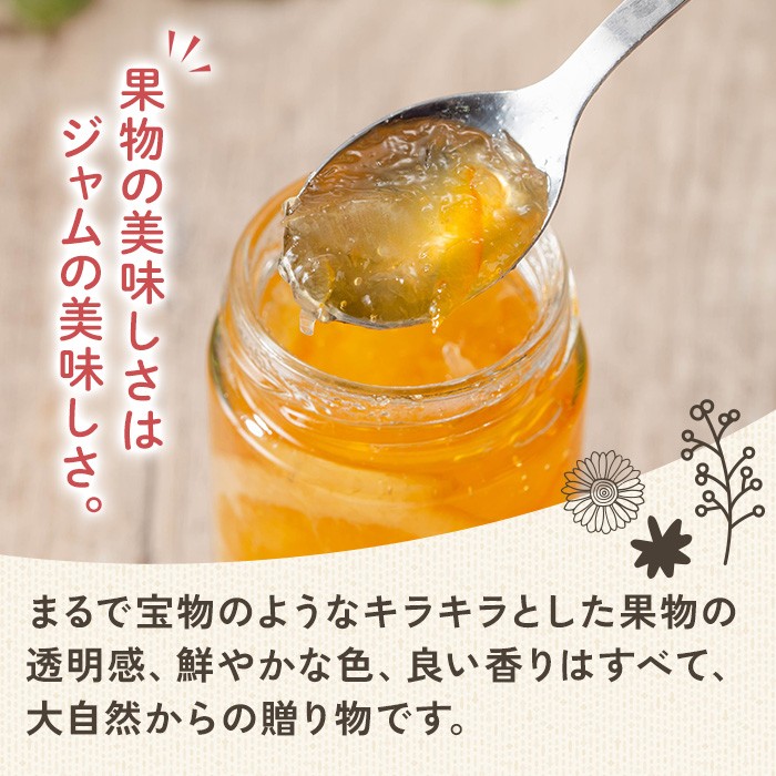 国産果実ジャム 季節のおすすめ×3個セット (マーマレード いちご さくらんぼ 白桃 いちじく パイナップル キウイ りんご 野菜 花 など)【ことりの】sh095