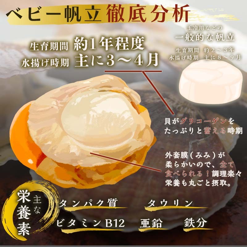 青森県産 冷凍ベビー帆立 (大)  1kg 【ハケタ水産】 大粒 ホタテ ほたて 帆立 人気 ボイル ベビーホタテ 貝柱 貝 おつまみ 酒の肴 魚介類 魚介 海鮮 海鮮食品 グルメ 食品 ギフト 冷凍 青森県 平内町 東北 むつ湾 陸奥湾 おすすめ F21J-212