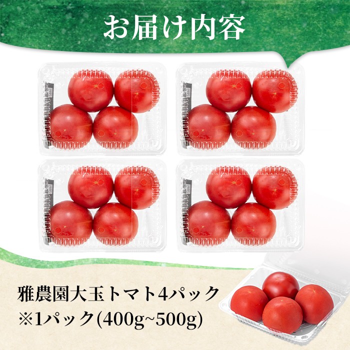 雅農園大玉トマト4パック  トマト 野菜 とまと やさい 新鮮 産地直送  【雅農園】【ho1429】