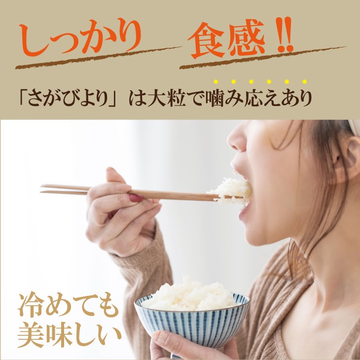 R７年度産（令和７年）特別栽培米 佐賀ブランド 米「 さがびより 」10kg（5kg×2袋）田中農場 精米 白米 10キロ  単位 もちもち 食感 冷めても 美味しい お一人様 ご家族用 ランキング 特A 評価