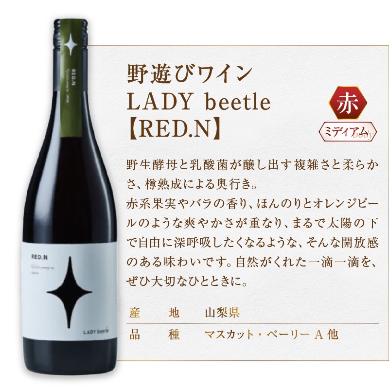 【選べる組合せ】フジクレール 野遊びワイン LADY beetle 2本セット《【RED.N】 / 【WHITE.N】 / 【ROSE SP Sparkling】 / 【GREEN.N Sparkling】 / 【ORANGE.N】》(MG)【ワイン フジクレール 赤ワイン 白ワイン ロゼワイン スパークリングワイン オレンジワイン 甲州市 山梨県】