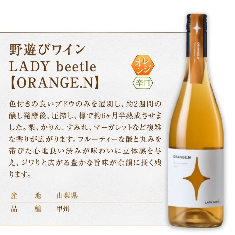 【選べる組合せ】フジクレール 野遊びワイン LADY beetle 2本セット《【RED.N】 / 【WHITE.N】 / 【ROSE SP Sparkling】 / 【GREEN.N Sparkling】 / 【ORANGE.N】》(MG)【ワイン フジクレール 赤ワイン 白ワイン ロゼワイン スパークリングワイン オレンジワイン 甲州市 山梨県】