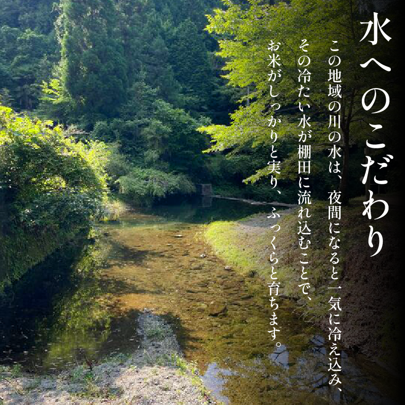 【先行予約】令和7年産 米 白米 選べる 容量 4kg (2kg × 2袋 )コシヒカリ 令和7年度産 小分け お米 こめ 棚田米 白米 精米 ごはん ご飯 白飯 ゴハン 徳島県 吉野川市