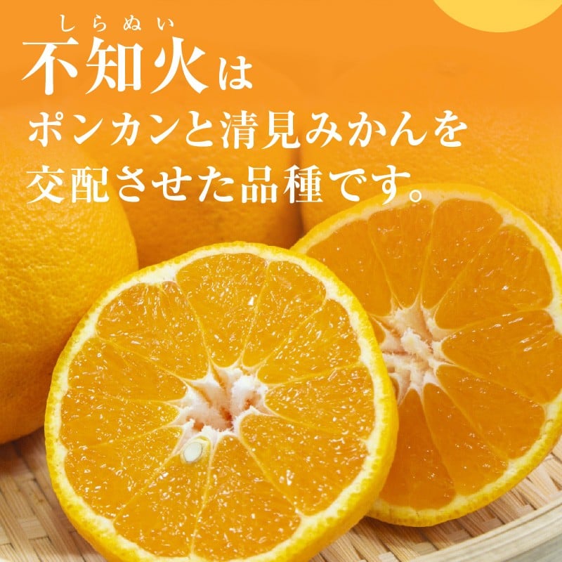 【2026年発送 先行予約品】濃密な甘酸っぱさ!ミカファームの不知火5キロ(家庭用)【数量限定 果物 フルーツ みかん 不知火 しらぬい デザート 5kg 家庭用 三重県 御浜町】