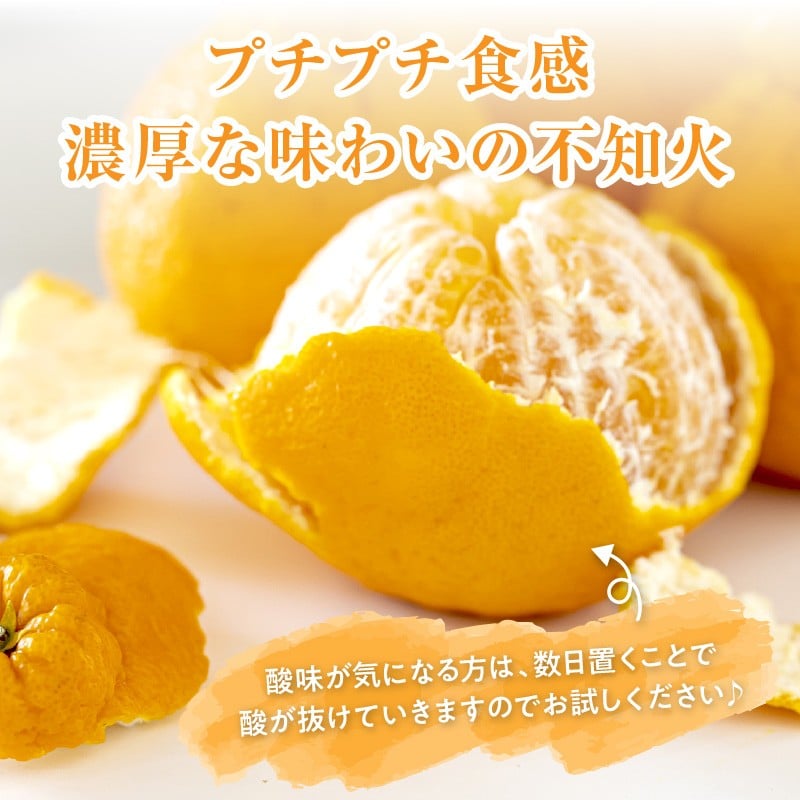 【2026年発送 先行予約品】濃密な甘酸っぱさ!ミカファームの不知火5キロ(家庭用)【数量限定 果物 フルーツ みかん 不知火 しらぬい デザート 5kg 家庭用 三重県 御浜町】