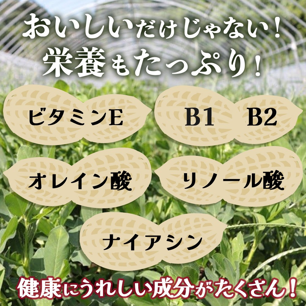 鹿児島県産 塩茹で希少落花生 300g×3パック 冷凍 AX7507 | ラッカセイ ピーナッツ 国産 塩茹で ゆで 殻付き 国産最高級品種 千葉半立 大粒 おやつ おつまみ 鹿児島県 南大隅町 株式会社フォレスト
