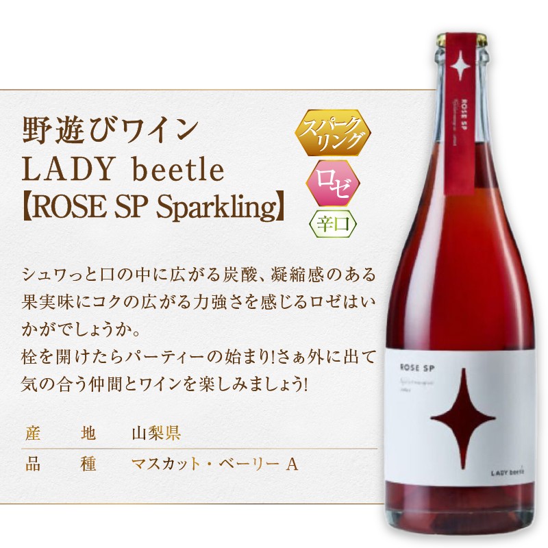 【選べる組合せ】フジクレール 野遊びワイン LADY beetle 3本セット《【RED.N】 / 【WHITE.N】 / 【ROSE SP Sparkling】 / 【GREEN.N Sparkling】 / 【ORANGE.N】》(MG)【ワイン フジクレール 赤ワイン 白ワイン ロゼワイン スパークリングワイン オレンジワイン 甲州市 山梨県】