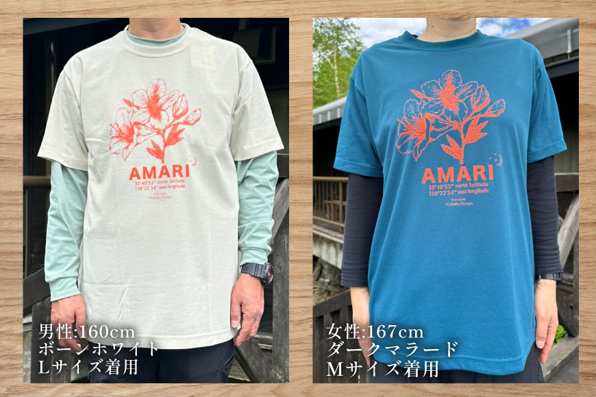 甘利山オリジナルTシャツ (ライトグリーン) S 1枚 Tシャツ 登山 アウトドア シルクスクリーン 甘利山 モンベル [甘利山グリーンロッジ 山梨県 韮崎市 20745132-b]