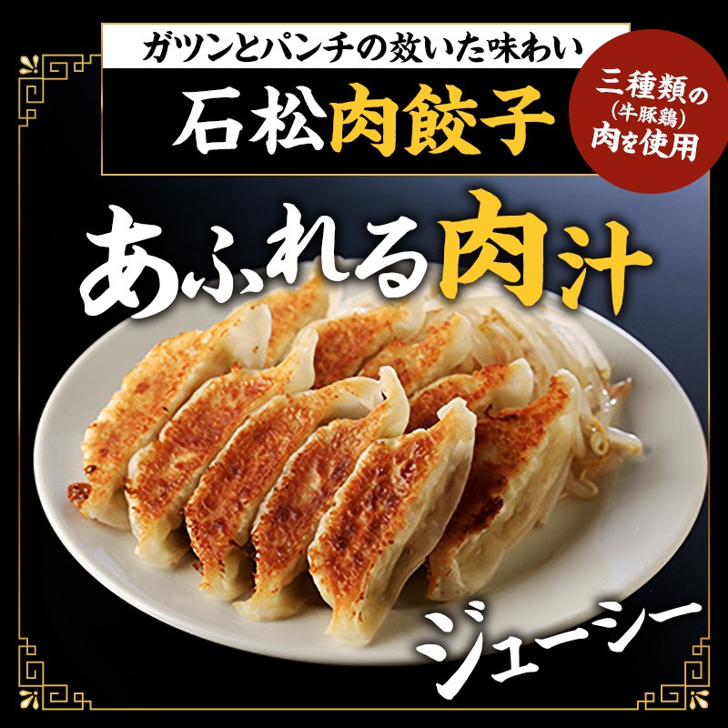 元祖 浜松餃子 石松の浜松餃子 食べ比べセット 石松餃子 40個 肉餃子 18個 セット 詰め合わせ ぎょうざ 餃子 ギョーザ 冷凍餃子 冷凍ぎょうざ 冷凍 冷凍食品 中華 惣菜 食品 おかず 食べ比べ 静岡 静岡県 浜松市 【配送不可：離島】 [№5786-5031]