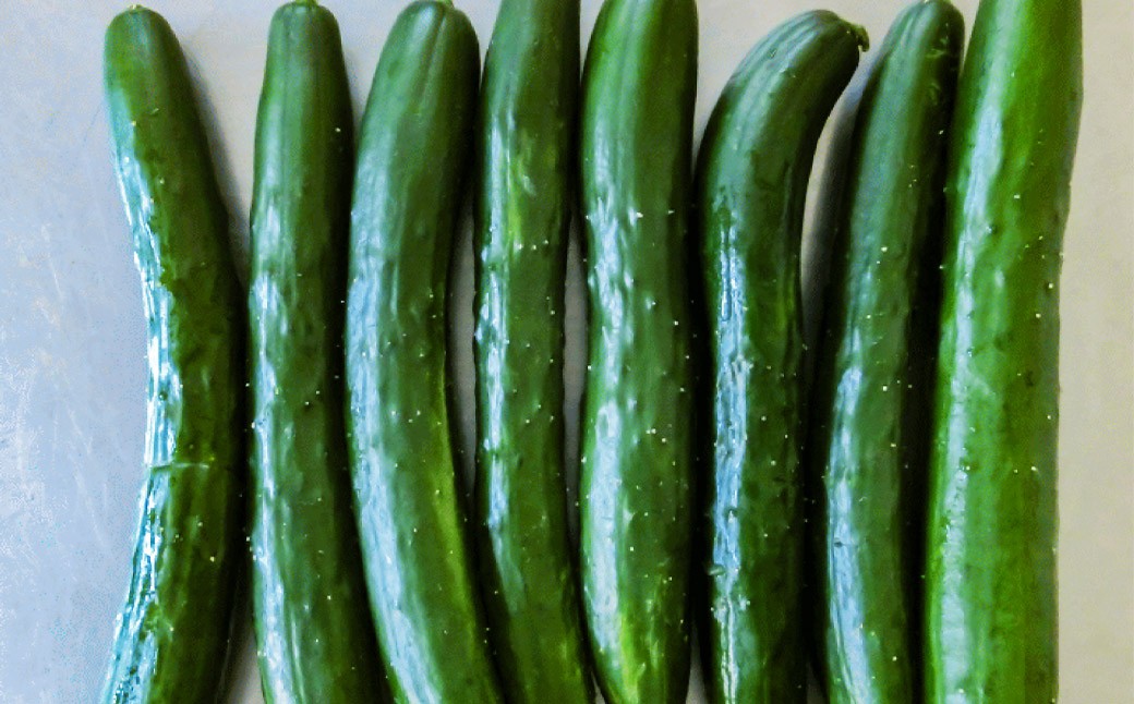 【訳あり】夏野菜セット3品【ミニトマト・なす・きゅうり】【2026年7月下旬~8月下旬発送予定】/ミニトマト トマト フルーツトマト なす きゅうり セット 野菜セット 詰め合わせ 詰合せ 野菜詰め合わせ 野菜詰合せ 野菜 夏野菜 直送 岩手県 二戸市