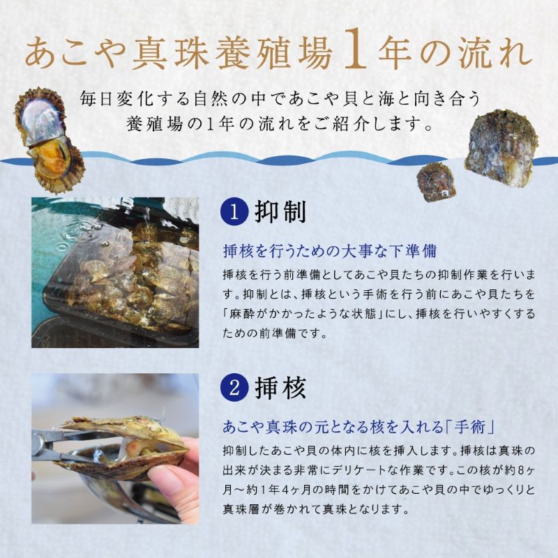 S101-344_真珠科学研究所 オーロラ花珠 鑑別書付 9mm - 9.5mm あこや真珠 スタッドピアス 【A:ピアス K18YG(イエローゴールド)】