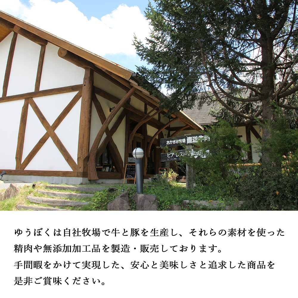 <熟成肉 はなが牛ハンバーグ 10個(1個150g)> 肉 お肉 牛肉 牛 ビーフ 牛100% 肉加工品 お惣菜 洋食 おかず 弁当 ランチ ディナー 国産 小分け 個包装 簡単調理 特産品 ゆうぼく 愛媛県 西予市【冷凍】