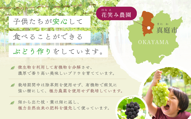 【2026年先行予約】花笑み農園 岡山の『ピオーネ＆シャインマスカット＆ラムピオーネジャム＆飲む酢』 【hana070-02】